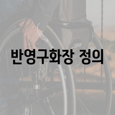 반영구화장 정의