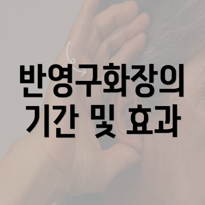 반영구화장의 기간 및 효과