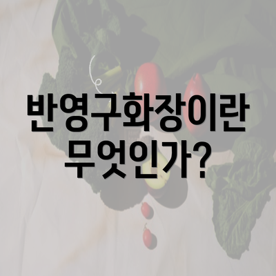 반영구화장이란 무엇인가?