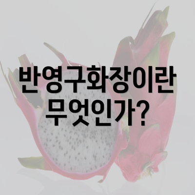 반영구화장이란 무엇인가?