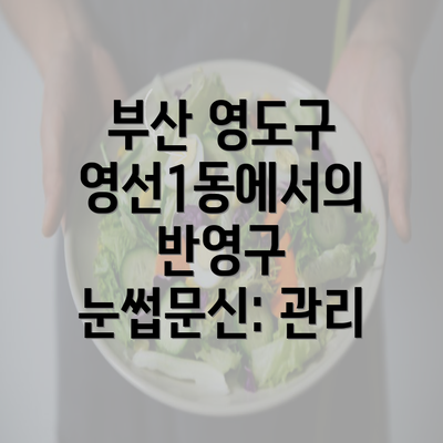 부산 영도구 영선1동에서의 반영구 눈썹문신: 관리