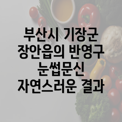 부산시 기장군 장안읍의 반영구 눈썹문신 자연스러운 결과