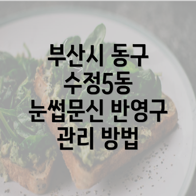 부산시 동구 수정5동 눈썹문신 반영구 관리 방법