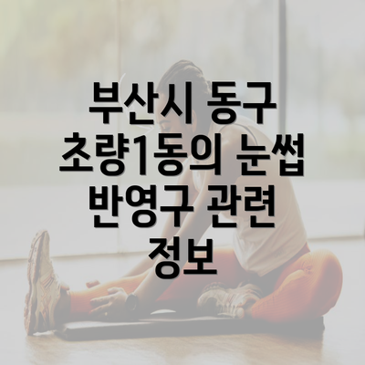 부산시 동구 초량1동의 눈썹 반영구 관련 정보