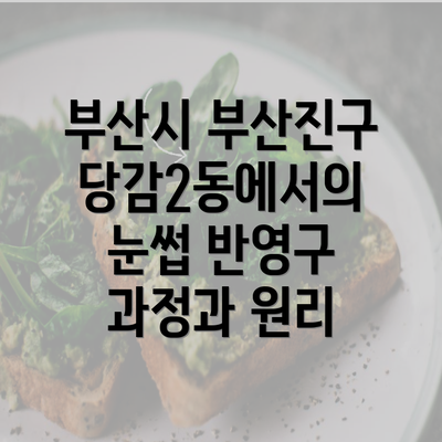 부산시 부산진구 당감2동에서의 눈썹 반영구 과정과 원리