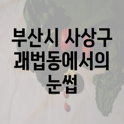 부산시 사상구 괘법동에서의 눈썹