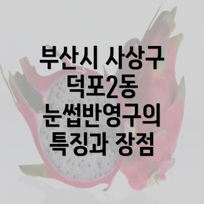 부산시 사상구 덕포2동 눈썹반영구의 특징과 장점