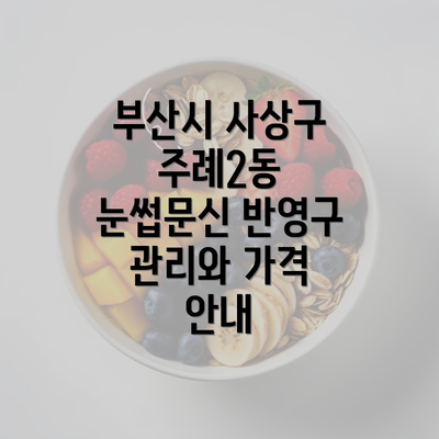 부산시 사상구 주례2동 눈썹문신 반영구 관리와 가격 안내