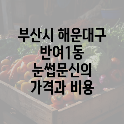 부산시 해운대구 반여1동 눈썹문신의 가격과 비용