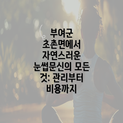 부여군 초촌면에서 자연스러운 눈썹문신의 모든 것: 관리부터 비용까지