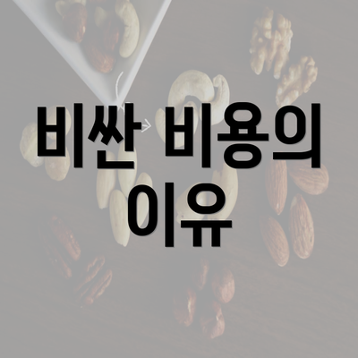 비싼 비용의 이유