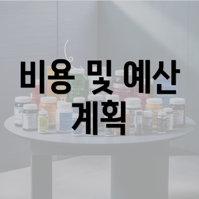 비용 및 예산 계획