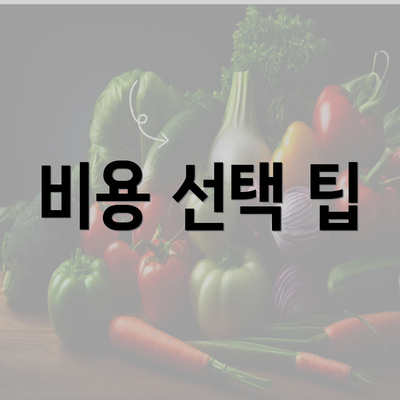 비용 선택 팁