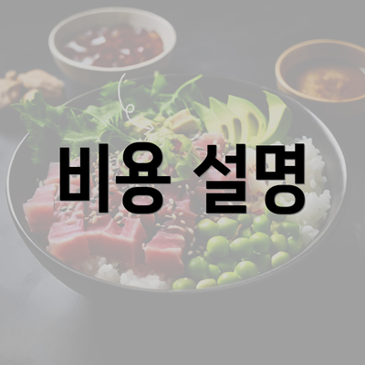 비용 설명