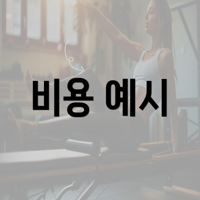 비용 예시