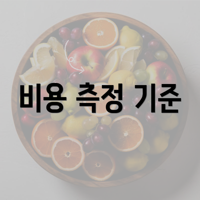 비용 측정 기준