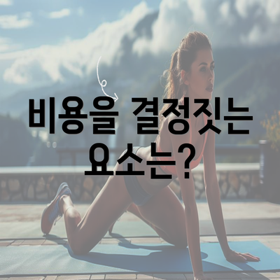 비용을 결정짓는 요소는?