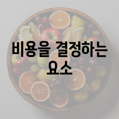 비용을 결정하는 요소