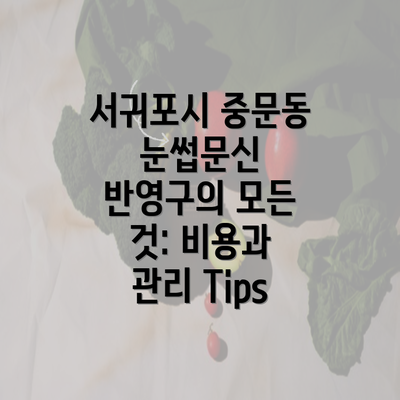 서귀포시 중문동 눈썹문신 반영구의 모든 것: 비용과 관리 Tips