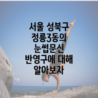 서울 성북구 정릉3동의 눈썹문신 반영구에 대해 알아보자