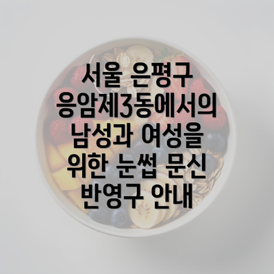 서울 은평구 응암제3동에서의 남성과 여성을 위한 눈썹 문신 반영구 안내