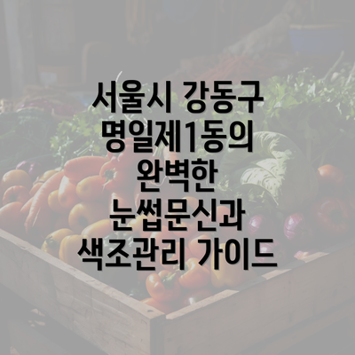 서울시 강동구 명일제1동의 완벽한 눈썹문신과 색조관리 가이드