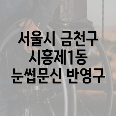 서울시 금천구 시흥제1동 눈썹문신 반영구