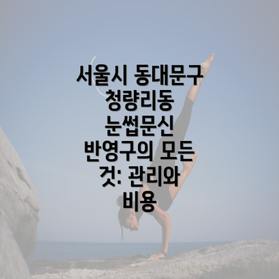 서울시 동대문구 청량리동 눈썹문신 반영구의 모든 것: 관리와 비용