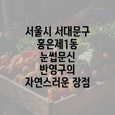 서울시 서대문구 홍은제1동 눈썹문신 반영구의 자연스러운 장점