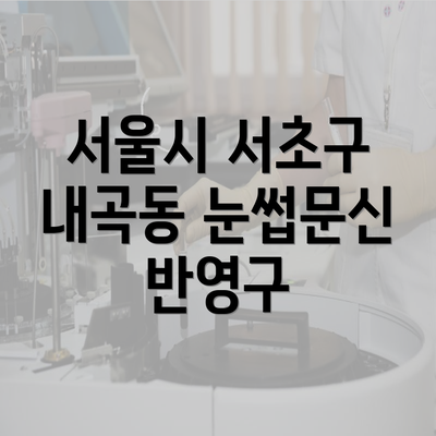 서울시 서초구 내곡동 눈썹문신 반영구