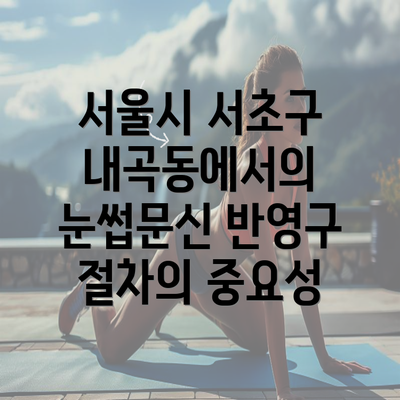 서울시 서초구 내곡동에서의 눈썹문신 반영구 절차의 중요성