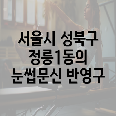 서울시 성북구 정릉1동의 눈썹문신 반영구