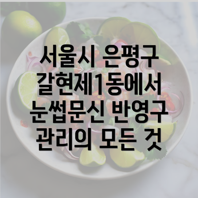 서울시 은평구 갈현제1동에서 눈썹문신 시술 과정 상세 설명