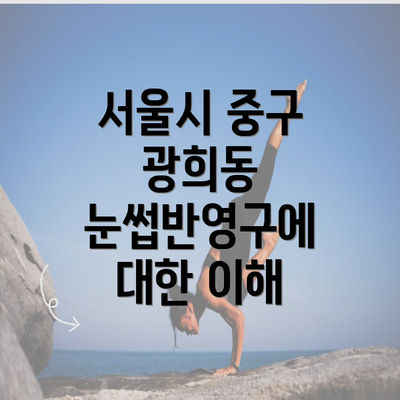 서울시 중구 광희동 눈썹반영구에 대한 이해