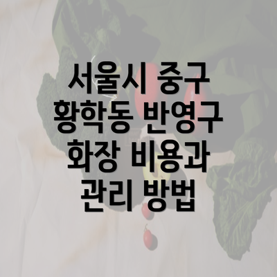 서울시 중구 황학동 반영구 화장 비용과 관리 방법