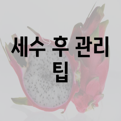 세수 후 관리 팁