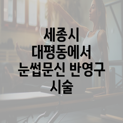 세종시 대평동에서 눈썹문신 반영구 시술