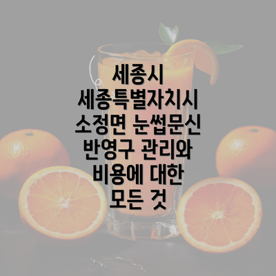 세종시 세종특별자치시 소정면 눈썹문신 반영구 관리와 비용에 대한 모든 것