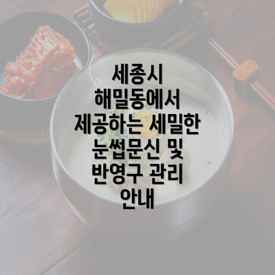 세종시 해밀동에서 제공하는 세밀한 눈썹문신 및 반영구 관리 안내