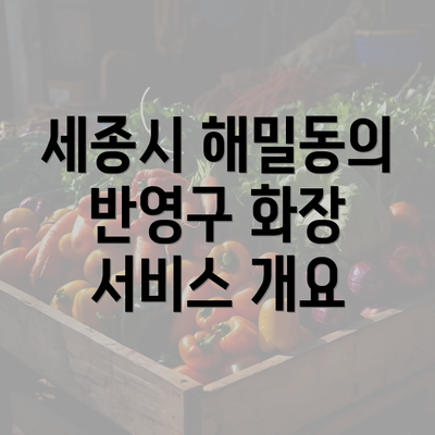 세종시 해밀동의 반영구 화장 서비스 개요