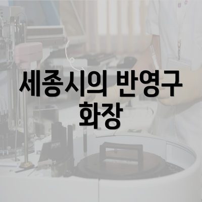 세종시의 반영구 화장