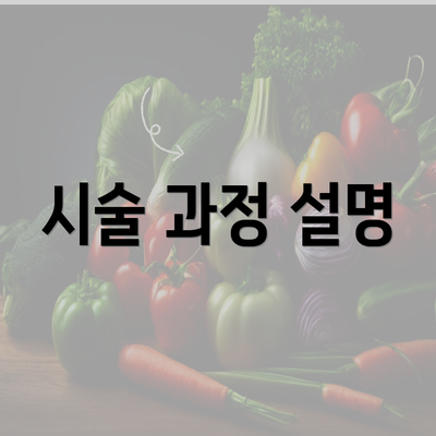 시술 과정 설명