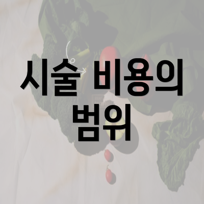 시술 비용의 범위