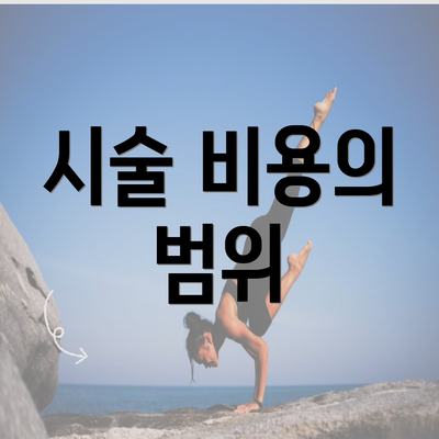 시술 비용의 범위