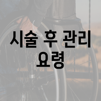 시술 후 관리 요령