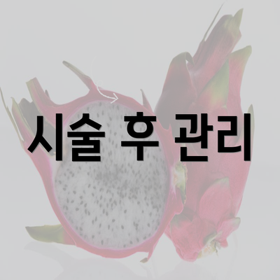 시술 후 관리