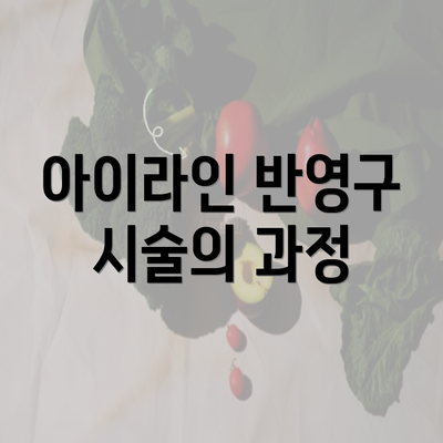 아이라인 반영구 시술의 과정