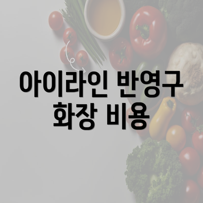 아이라인 반영구 화장 비용