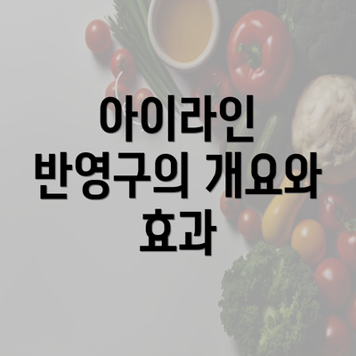 아이라인 반영구의 개요와 효과