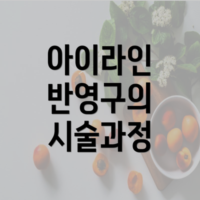 아이라인 반영구의 시술과정